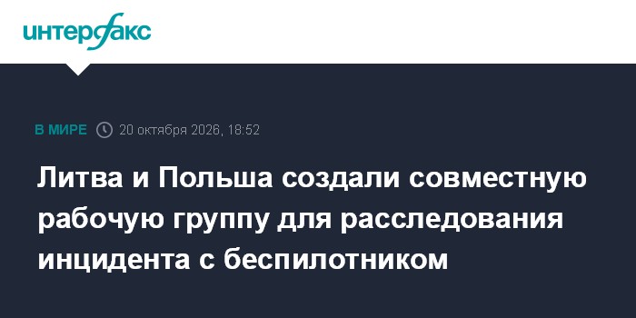 Литва и Польша создали совместную рабочую группу для расследования инцидента с беспилотником

Москва. 20 октября. INTERF