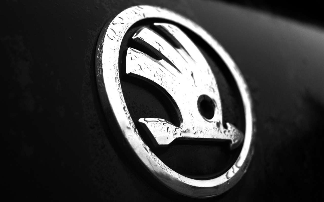 Владельцы Skoda смогут сами напечатать нужные автоаксессуары на 3D-принтере

Skoda запустила бесплатную библиотеку для 3