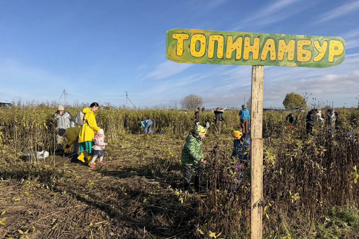 В Гатчине на ферме «Веси» в Пудости прошёл пятый Праздник Ижорской репы

В Гатчинском районе на ферме «Веси» в Пудости с