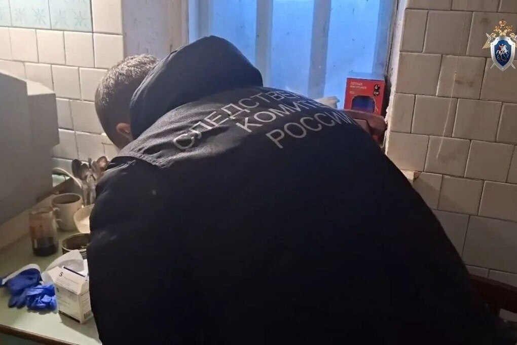 Жительницу Пензенского района осудили за двойное нападение с ножом

Следователи Зареченского межрайонного следственного 