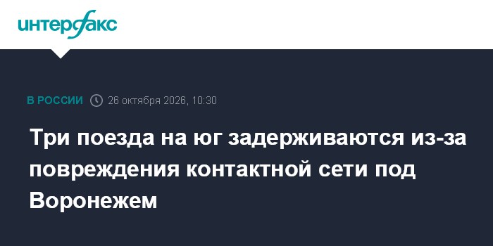 Три поезда на юг задерживаются из-за повреждения контактной сети под Воронежем

Москва. 26 октября. INTERFAX. RU - Три п