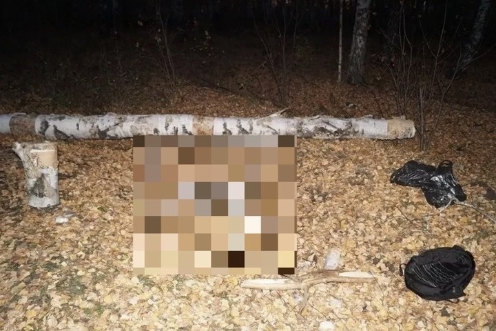 В Уварово задержали мужчину, изготавливавшего наркотики в лесополосе

Сотрудники отдела уголовного розыска МО МВД России