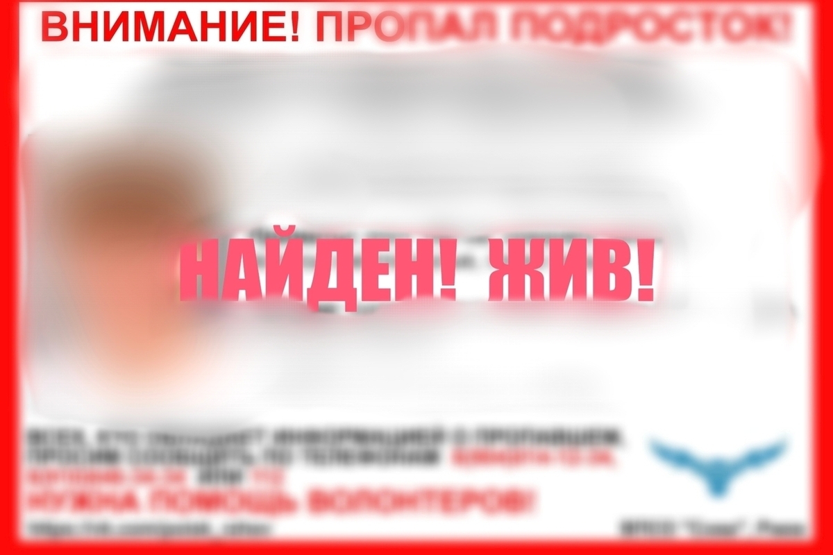 В Тверской области нашли пропавшего подростка

В Ржеве завершились поиски подростка, рассказали в ВПСО «Сова»