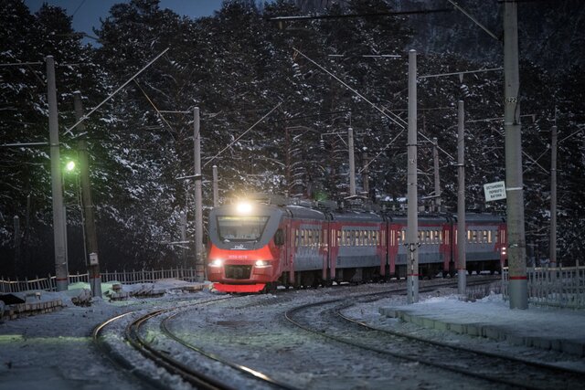 В Москве арестовали администраторов популярного фотосайта о поездах RailGallery. Их обвинили в «неправомерном воздействи