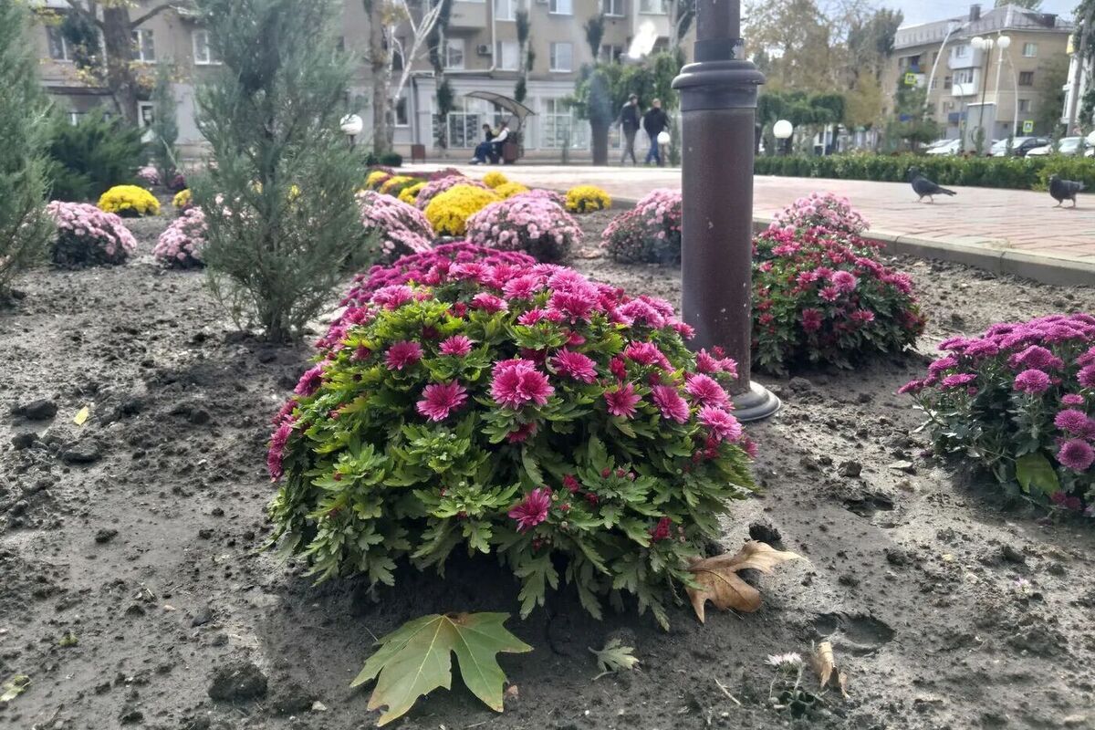 В Запорожской области ожидается переменная облачность и дожди: Прогноз на 19-20 октября

В Запорожской области в период 