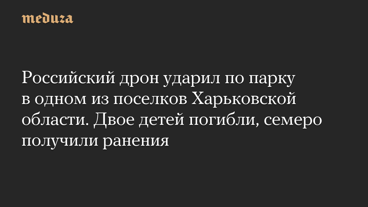 Российский дрон ударил по парку в одном из поселков Харьковской области. Двое детей погибли, семеро получили ранения

Ро