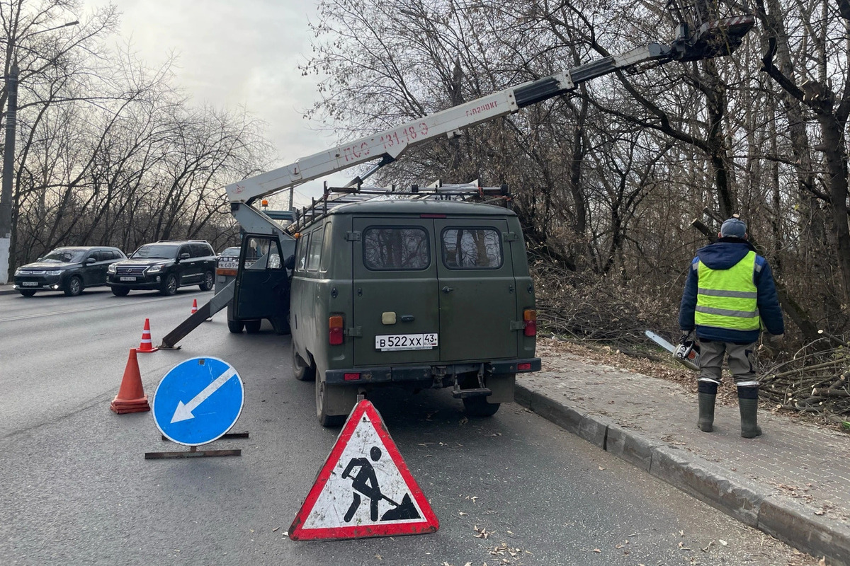 В Кирове частично ограничат движение из-за вырубки аварийных деревьев

Возле старого моста стартовали масштабные работы 