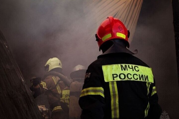 За сутки в Крыму произошло пять пожаров и три ДТП

Крымские спасатели 17 октября реагировали на пять техногенных пожаров