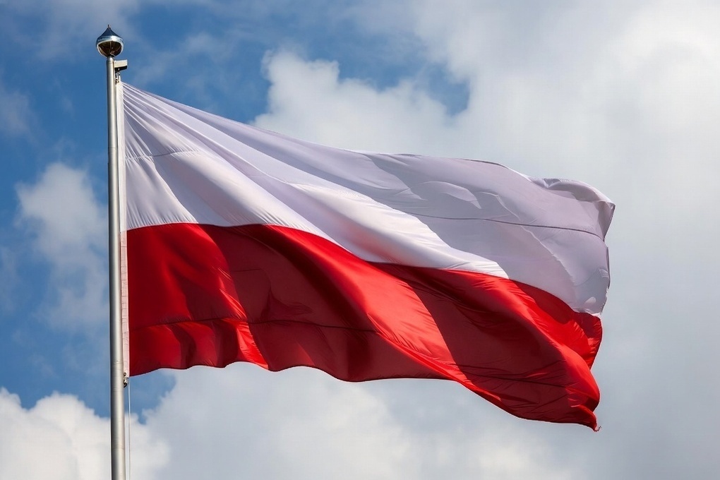 Поляки выдворили из страны каратистов из РФ и Белоруссии

Польские власти распорядились выдворить из страны четырех граж