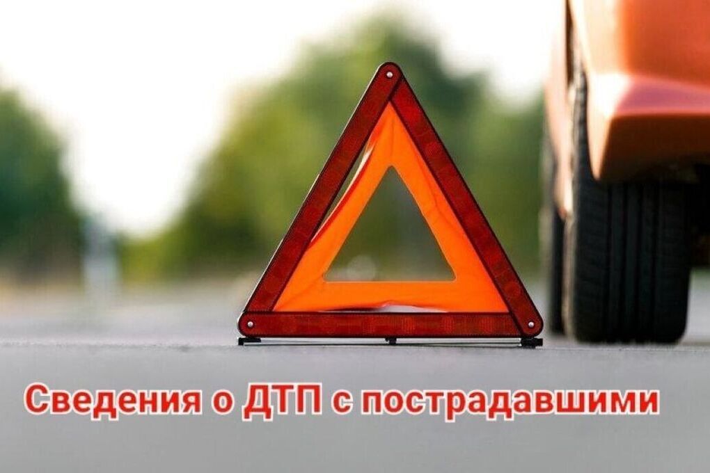 Под Курском водитель КамАЗа сбил насмерть мужчину и пытался скрыться

В Фатежском районе произошло смертельное ДТП, вино