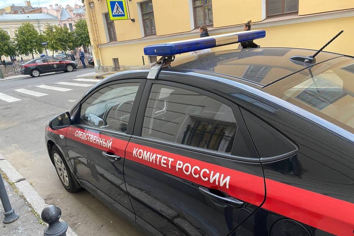 Двойное убийство в Петербурге могло произойти из-за бытового конфликта

Двойное убийство ребенка и пожилой женщины в Пет