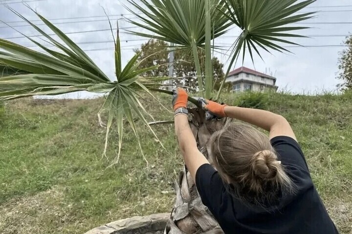 В Лазаревском районе Сочи очистили набережную и привели в порядок улицы

В Лазаревском районе Сочи коммунальные службы п