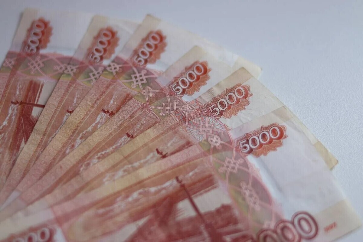 В Петербурге заключили контрактов на 535,5 миллиардов рублей

За первые девять месяцев 2026 года городские заказчики в П