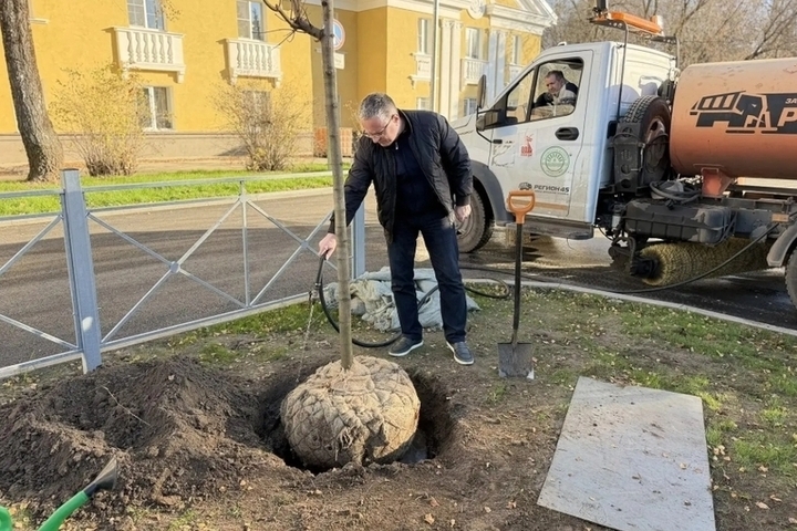 Калуга возвращает зелень бульвару Чичерина

На бульваре Чичерина в Калуге начали восстанавливать аллею, высаживая взросл