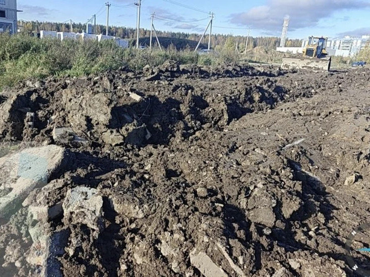 Бульдозер и грузовик изъяли после сброса сомнительных отходов в почву Ленобласти

Во Всеволожском районе сотрудники Госэ