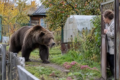 Россиянка напугала медведя в лесу палкой

Жительница Приморья Вера Михайлова рассказала, как напугала медведя в лесу пал