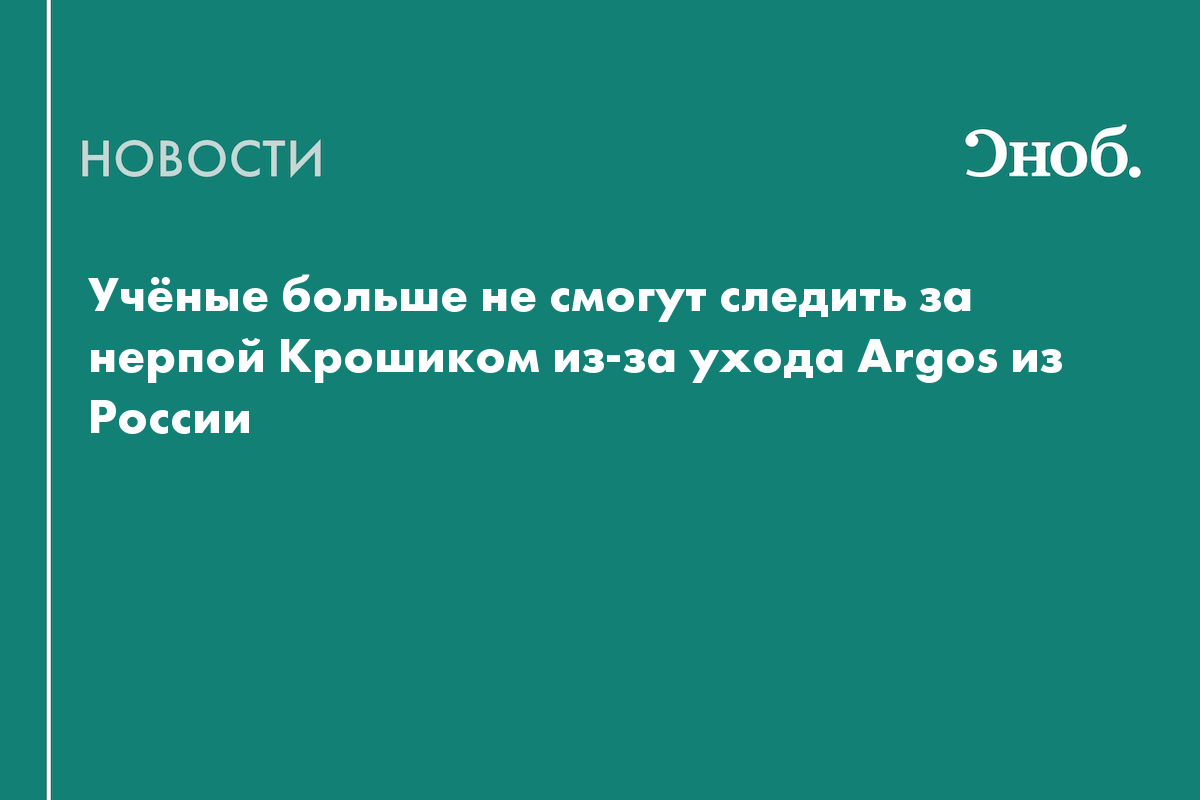 Нерпа Крошик пропадёт с радаров из-за ухода французской компании из России

Российские специалисты больше не смогут след