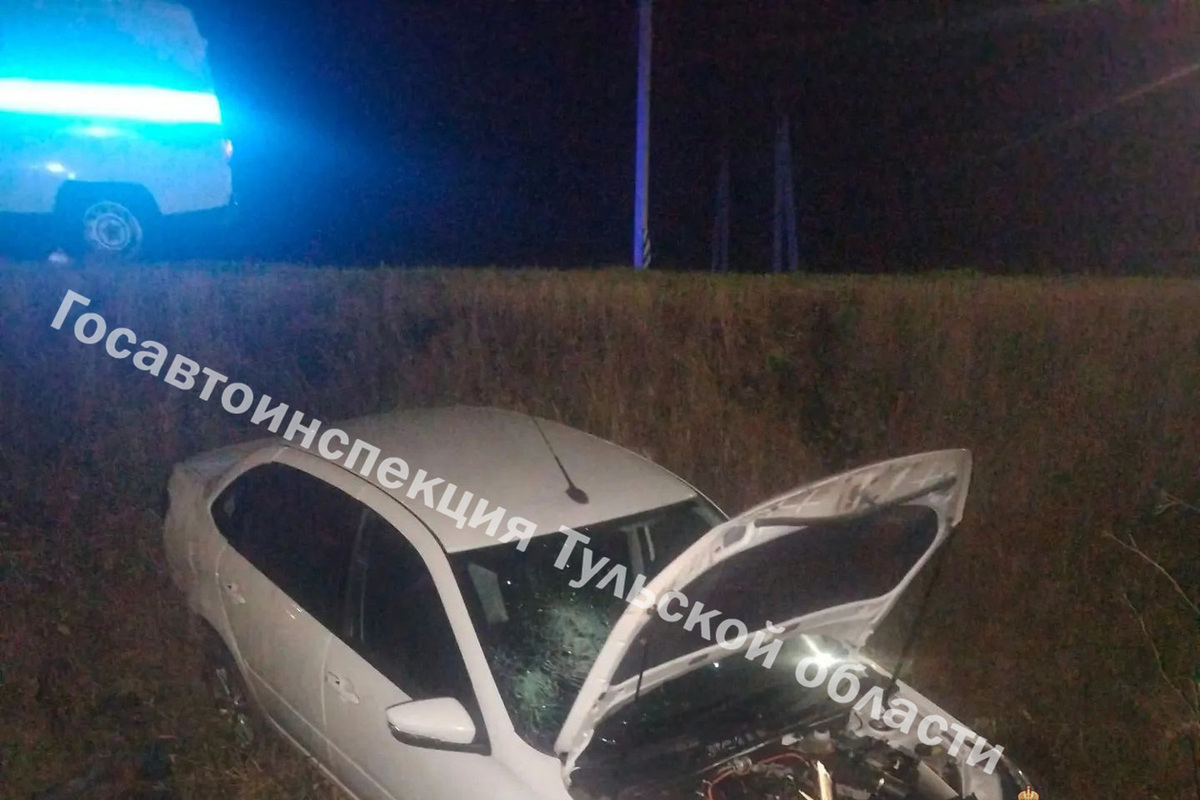 В Куркинском районе «Лада Гранта» вылетела в кювет, пострадали двое

В поселке Куркино Тульской области произошло ДТП с 