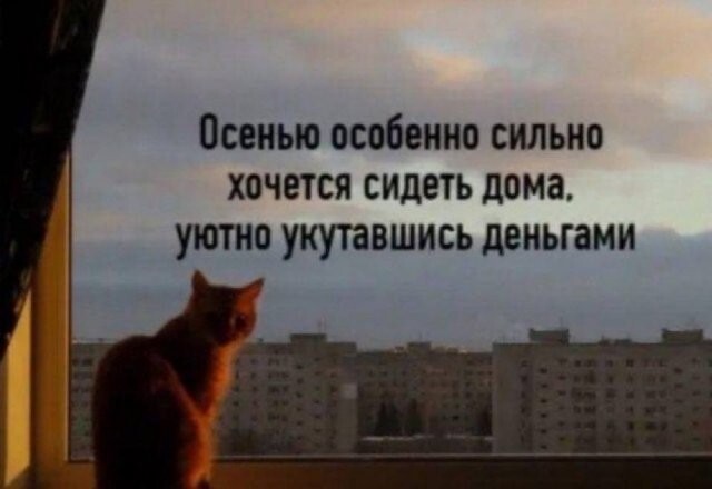 Скрины из соцсетей&nbsp;&nbsp;&nbsp;&nbsp;&nbsp;&nbsp;&nbsp;&nbsp;&nbsp;&nbsp;&nbsp;&nbsp;

Прикольные маразматические о