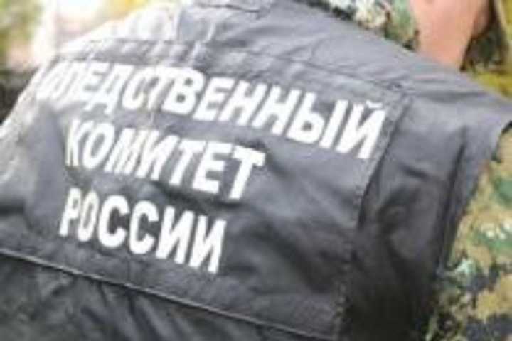 Костромской СУСК проверит информацию о бездомных собаках в Неи

В костромских соцсетях появилась информация о агрессивны