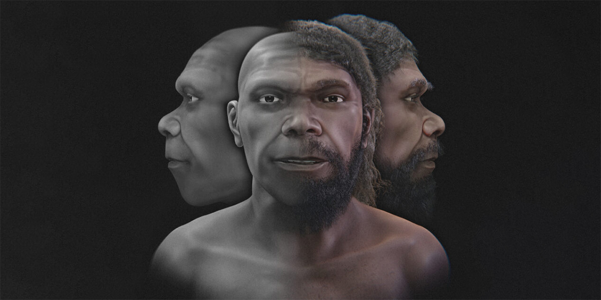 Учёные восстановили лицо древнейшего известного Homo sapiens — ему 315 тысяч лет

Нижнюю челюсть и зубы пришлось позаимс