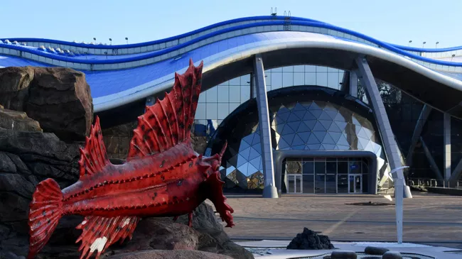 В Приморском океанариуме гекконы-бананоеды впервые принесли потомство

Краткий пересказ от РИА ИИ

Потомство впервые поя