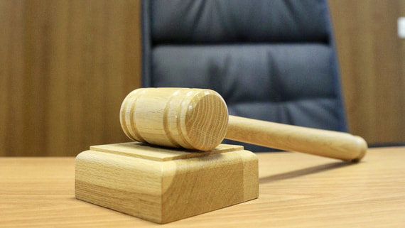 Суд приговорил Татьяну Монтян к 1,5 года колонии