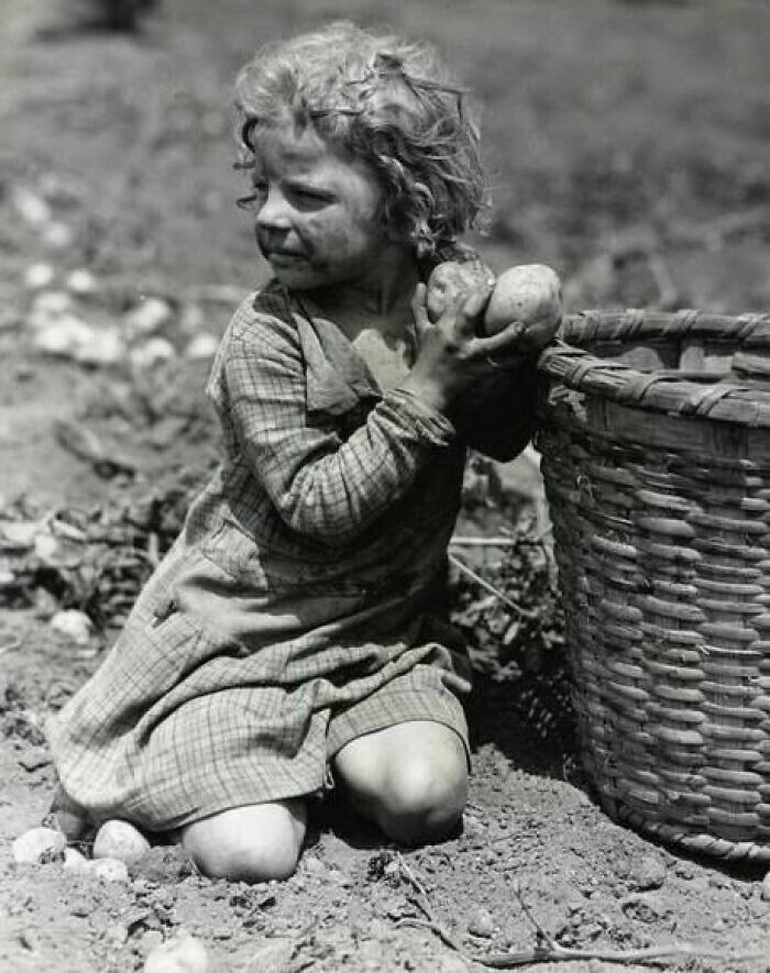 Заморские винтажные фотографии #4

Дела давно минувших дней. 30 фотографий.

1. Четырехлетка помогает в поле, 1931
