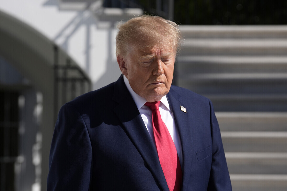 Трамп рассказал, кто платит протестующим на его митингах

Согласно информации, распространённой в СМИ, президент США Дон
