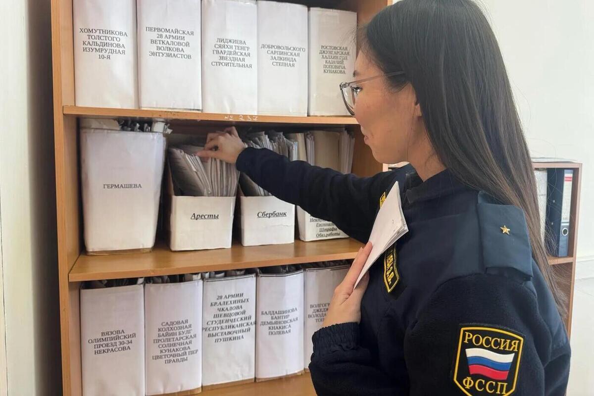 В Калмыкии компания бытовой техники погасила долг перед потребителем

По решению суда в пользу потребителя необходимо бы