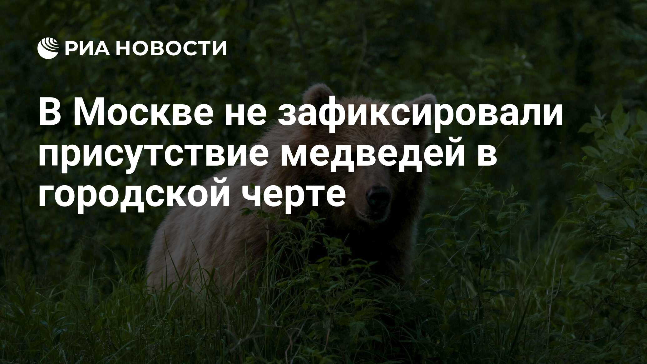 В Москве не зафиксировали присутствие медведей в городской черте

Краткий пересказ от РИА ИИ

Специалисты Москвы не зафи