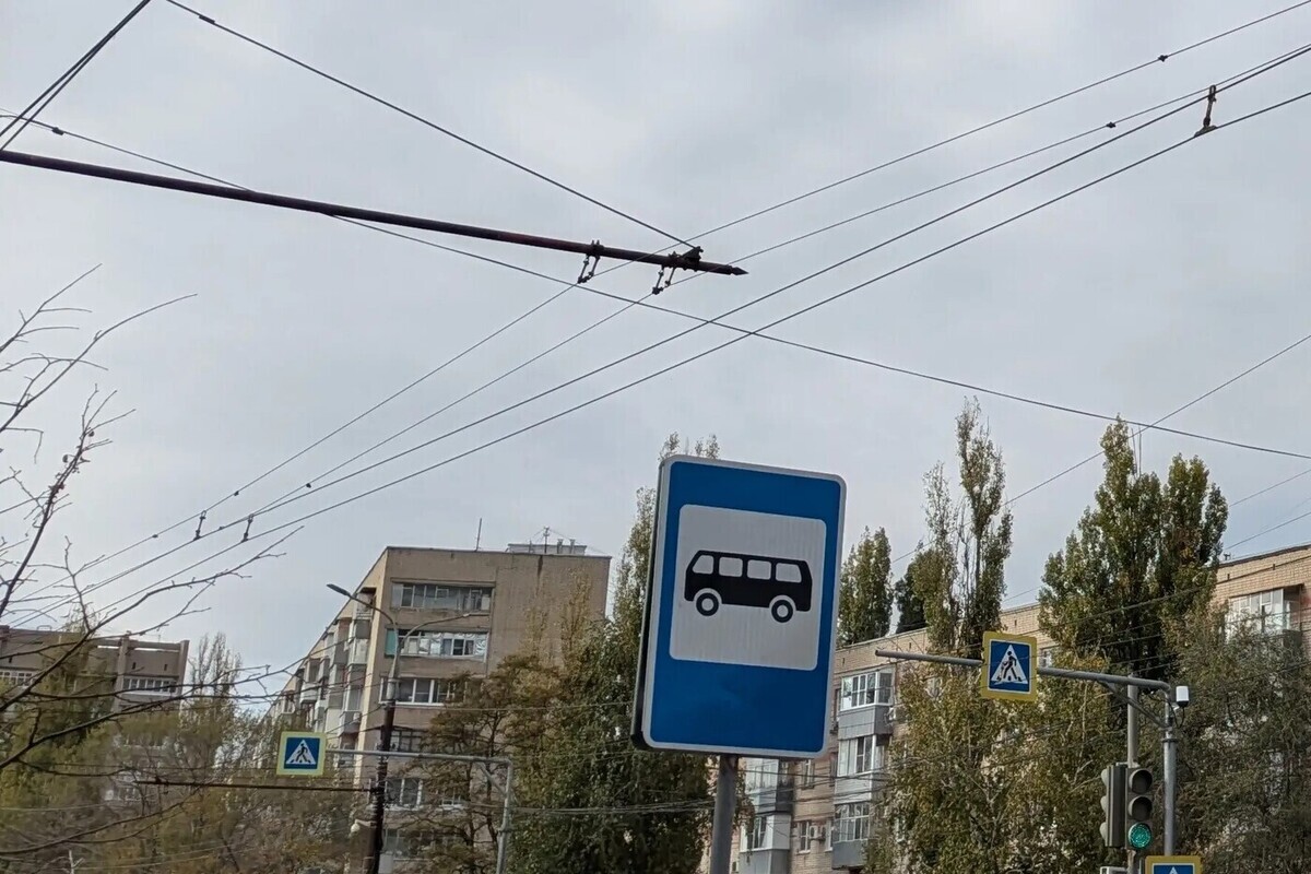 В центре Воронежа установили остановку «Дом Архитектора»

Все изменения связаны с проектом метробуса