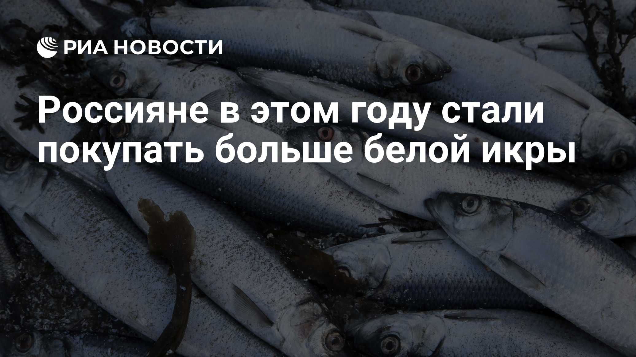 Краткий пересказ от РИА ИИ

Россияне в этом году увеличили покупки белой икры (икры минтая, сельди, трески), спрос вырос