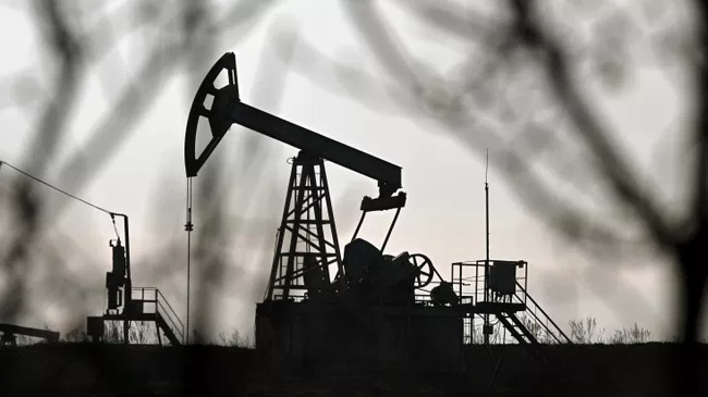 Нефтепродукты в ФРГ подорожали с 2025 года на 50 процентов

Краткий пересказ от РИА ИИ

Цены на нефтепродукты в Германии