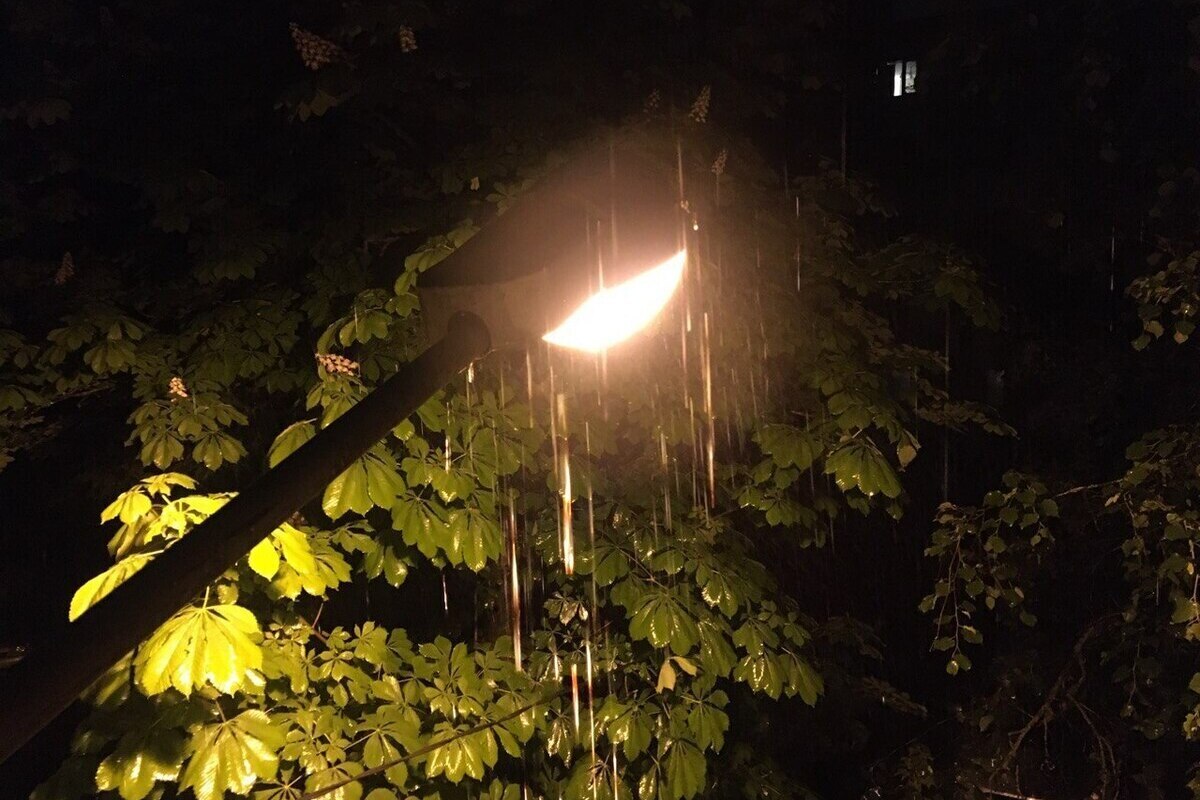 В Воронежской области почти вдвое выросли долги предприятий ЖКХ за свет

Долги коммунальных предприятий Воронежской обла