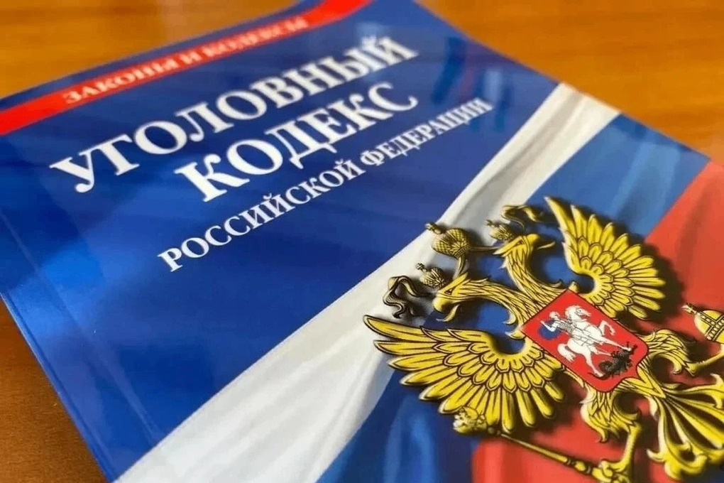 Находка на парковке обернулась элистинке задержанием полицейскими

Полицейские Элисты задержали местную жительницу по по