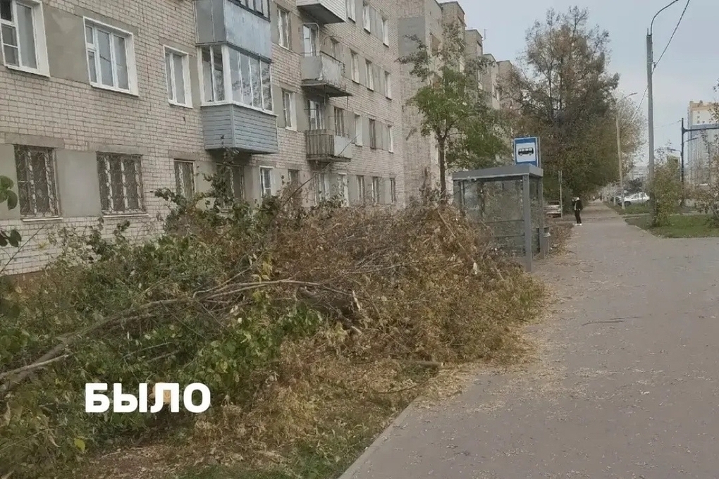 Мэр Иванова рассказал об осенней уборке города

Максим Комиссаров подвел итоги прошедшей недели в соцсетях.
