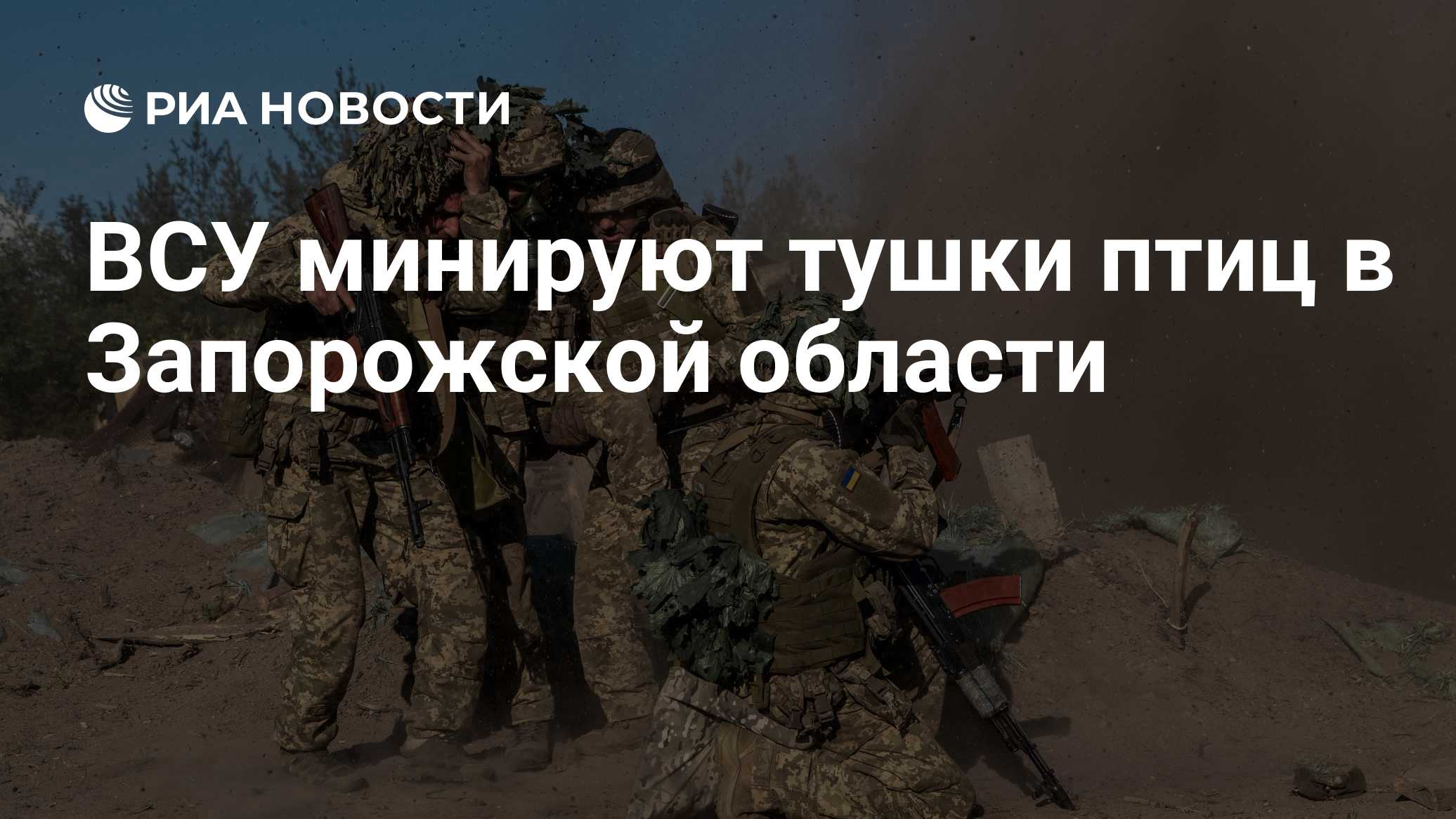 ВСУ минируют тушки птиц в Запорожской области

Краткий пересказ от РИА ИИ

Боевики ВСУ маскируют самодельные взрывные ус