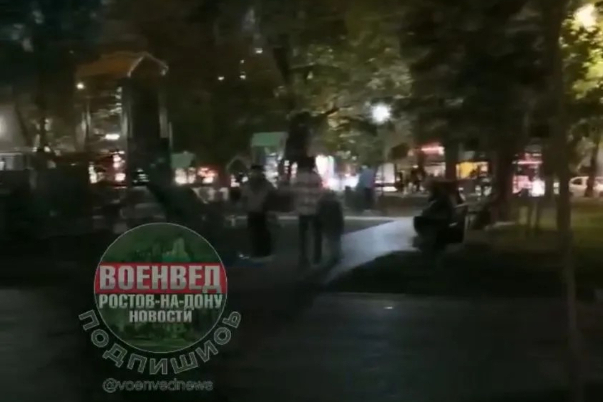 Жители Ростова попросили восстановить освещение в сквере Оганова

В Ростове жители Военведа обратили внимание на проблем